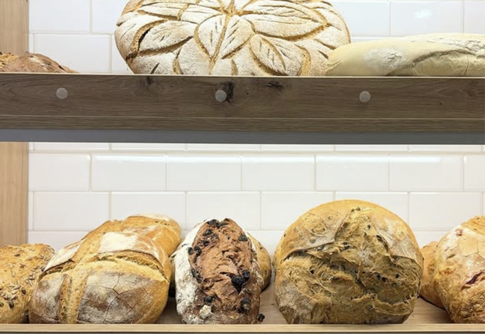 principal-forn-sant-esteve